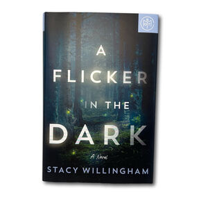 A Flicker in the Dark by Stacy Willingham Hardback Book Like New